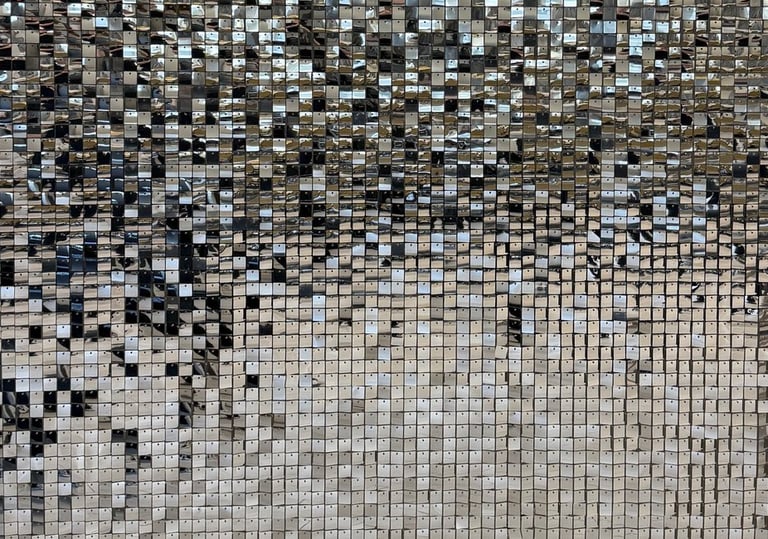 Blizgi sidabrinė foto siena, gyva foto siena, veidrodinė foto siena, foto sienos nuoma vilnius, foto