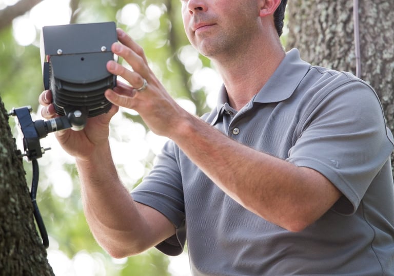 landscape lighting technician servicing a light in tree