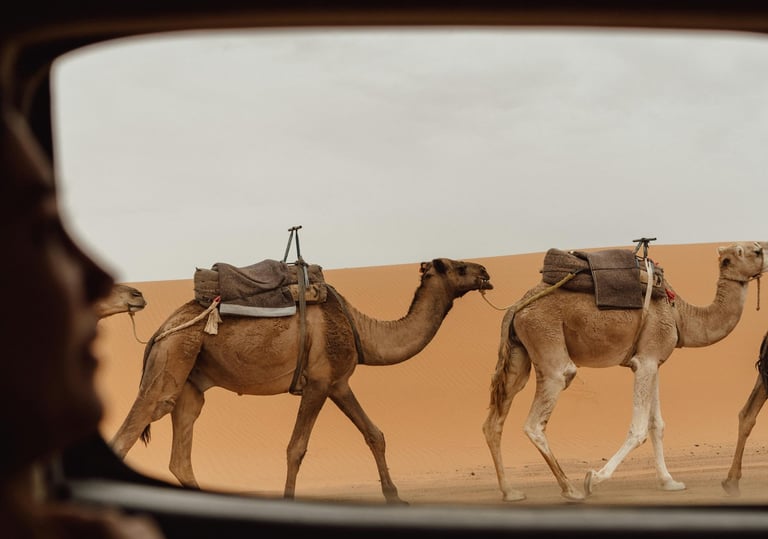 Excursión desde Fez hacia el desierto con paisajes impresionantes