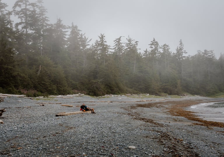 a person sitting on a log in the middle of a beach