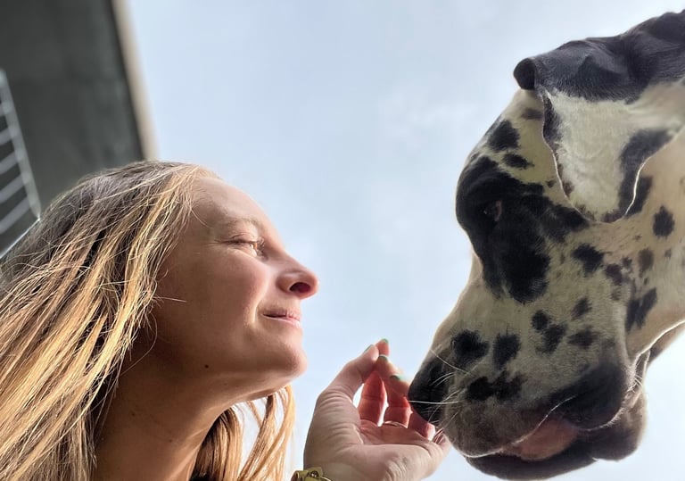 Animal communication between a woman and a Great Dane