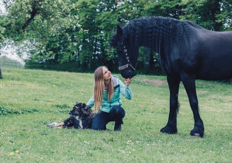 Connection between a horse, a dog and a woman