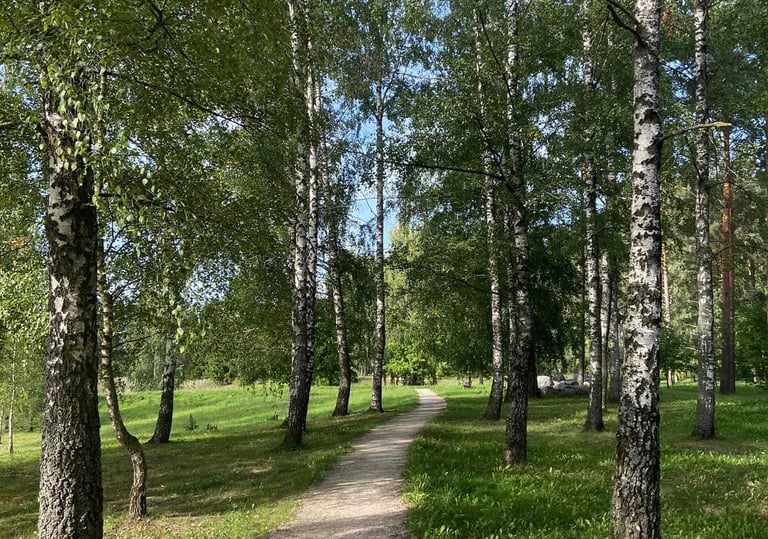 Dauguviečio parkas