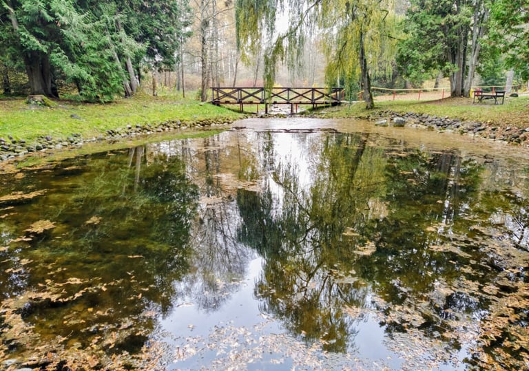 Smardonės šaltinis