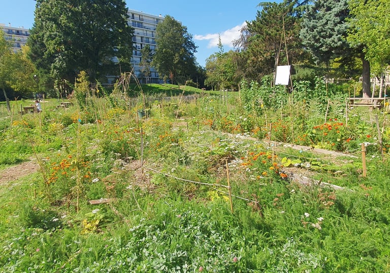 association herbes folles jardinage villejuif Parc Pablo Neruda