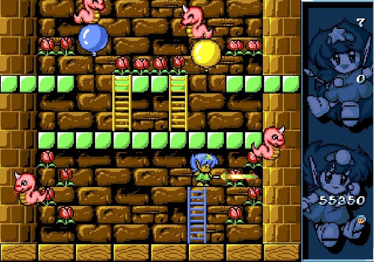 Amiga Rodland - Tam Going Solo