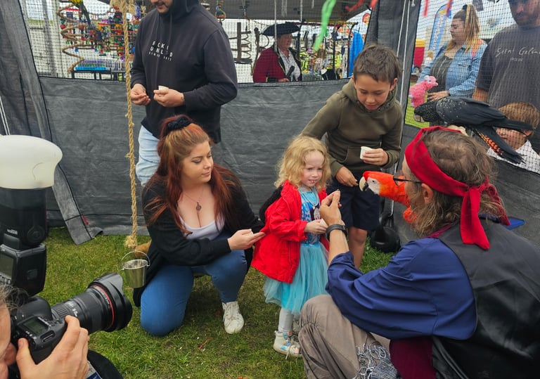 Patron Interaction with Majick Feathers