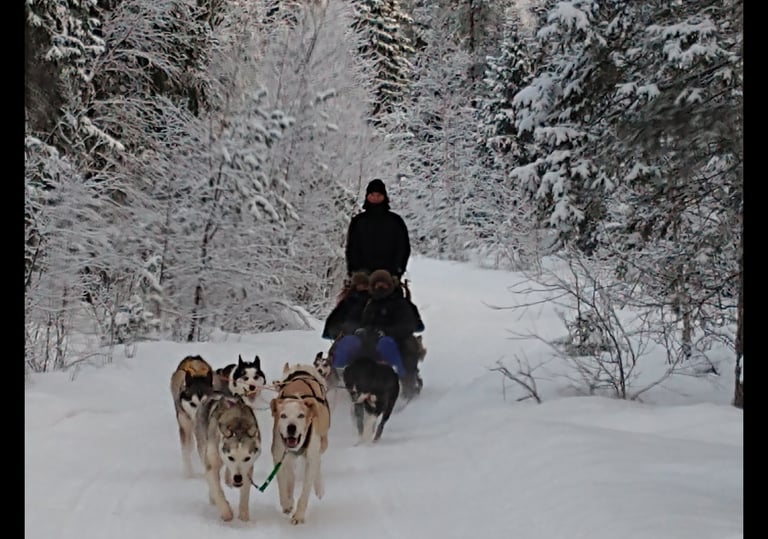 dogsledding