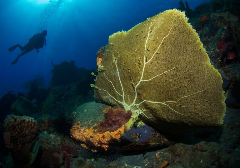 St Pierre - MARTINIQUE