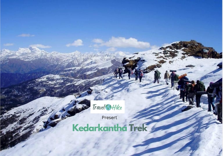 Trekkers scaling the lush trails of the Himalayas.