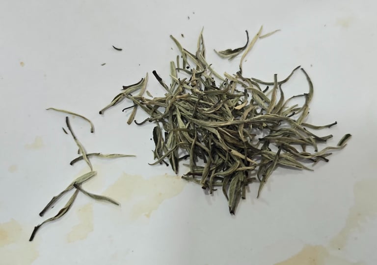 Bir Global™ Group Export