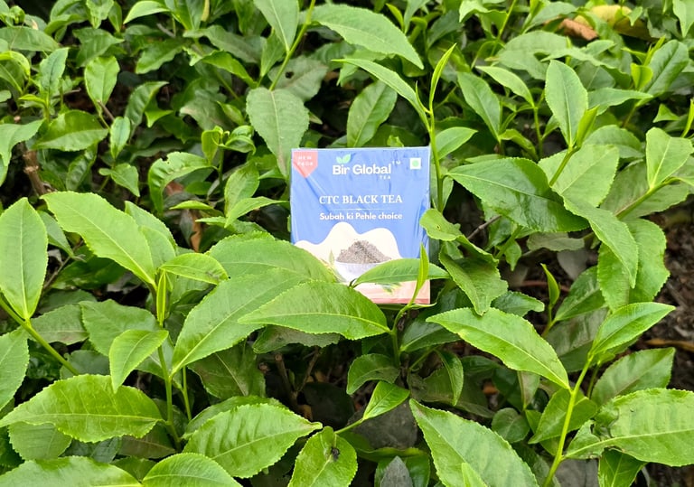 Bir Global™ Group Export