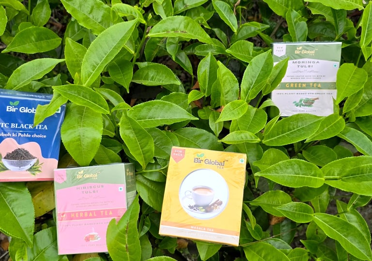 Bir Global™ Group Export