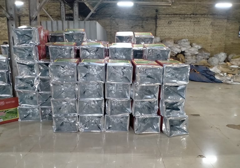 Bir Global™ Group Export