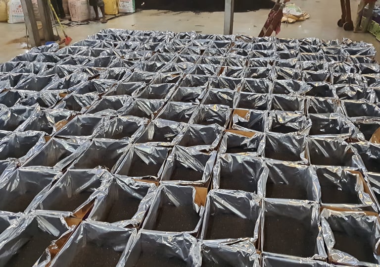 Tea Export Bir Global Group