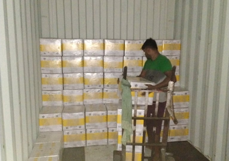 Bir Global™ Group Export