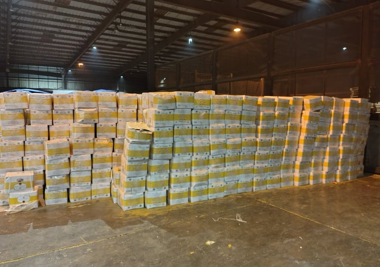 Bir Global™ Group Export