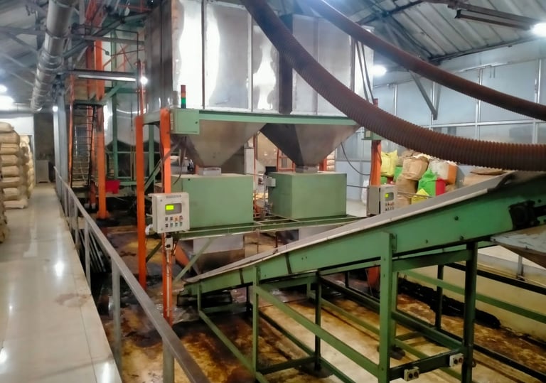 Bir Global™ Group Export