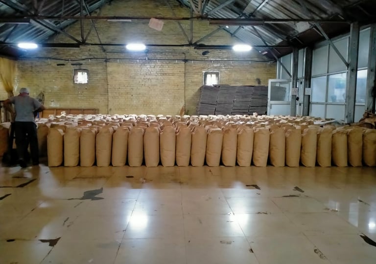 Bir Global™ Group Export