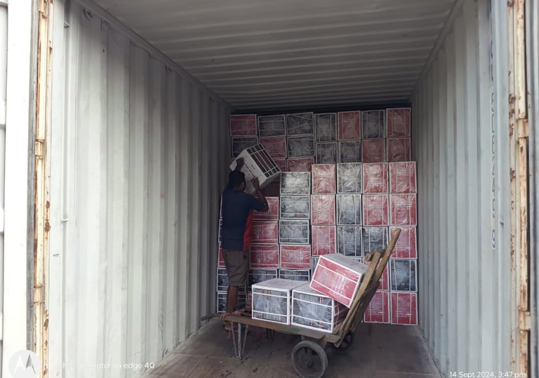 Bir Global™ Group Export