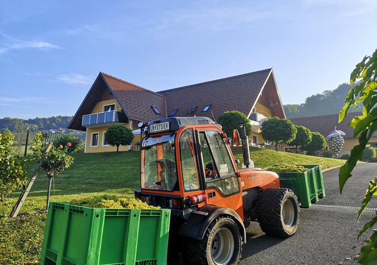 Weingarten Traktor am Betrieb