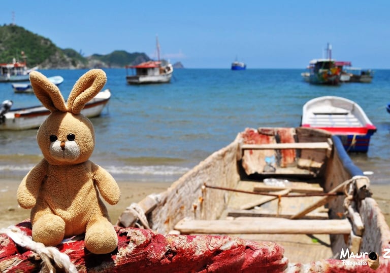 a stuffed animal sitting on a boat in the water