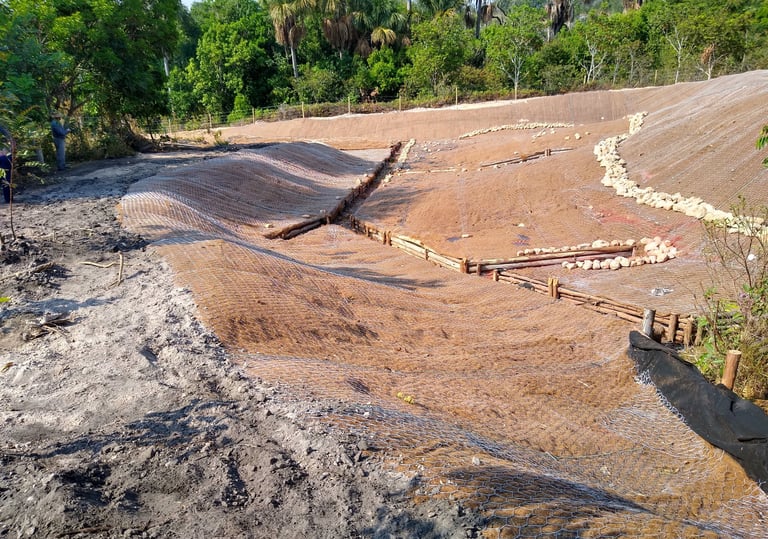 Recuperação de Áreas Degradadas