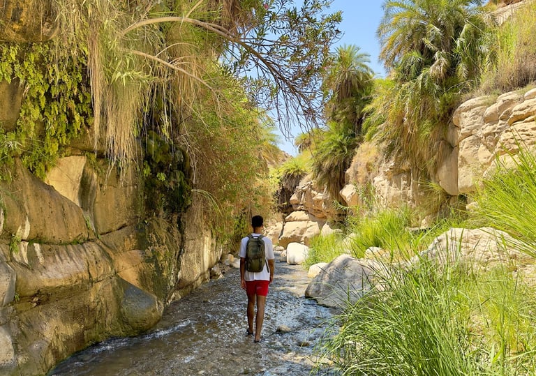 Autotour en Jordanie – circuit en liberté à Petra, Wadi Rum et mer Morte
