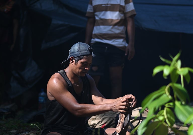 About Us Sumatra Orangutans