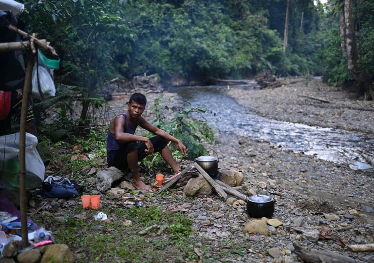 About Us Sumatra Orangutans