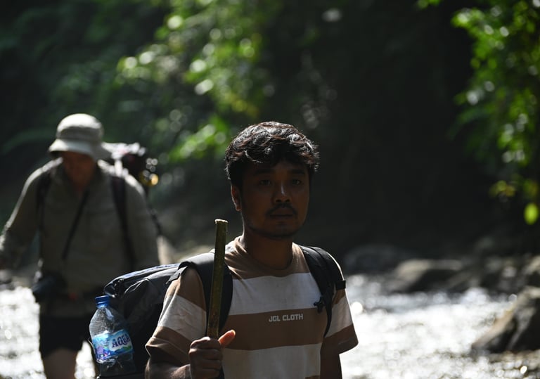 About Us Sumatra Orangutans