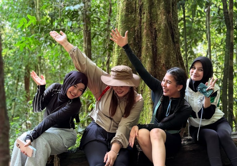 Bukit Lawang Trekking