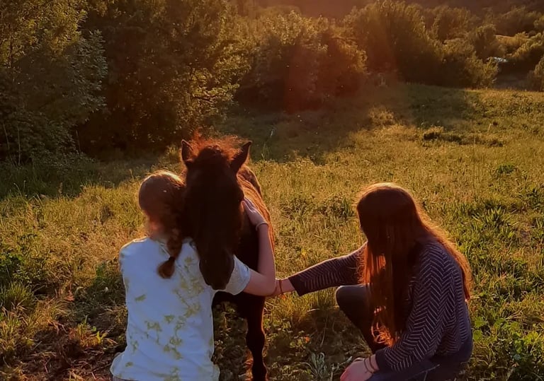 Two girls petting a dark pony in a grassy field during a golden hour sunset in the mountains.