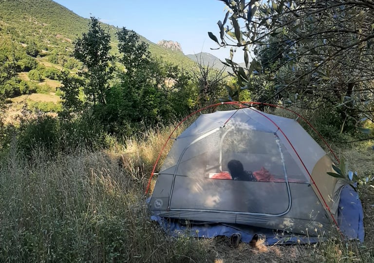 A camping tent set up in a grassy mountain valley with lush green trees and clear blue skies.