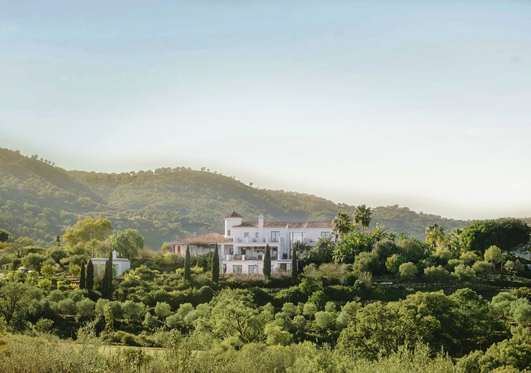 Hilltop Mediterranean estate surrounded by olive trees and nature
