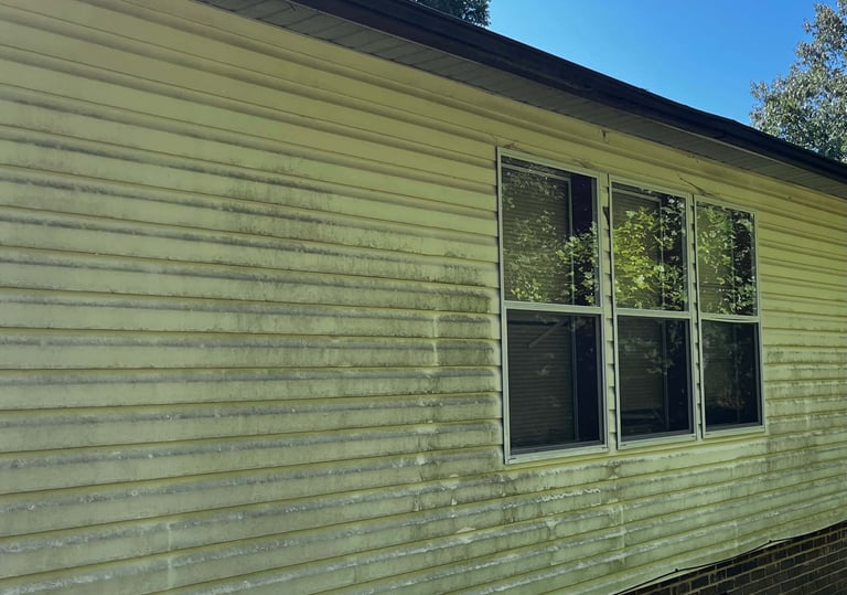Before: heavily grimy vinyl siding on Lenoir NC house—thick green algae and mildew buildup, ready for soft wash