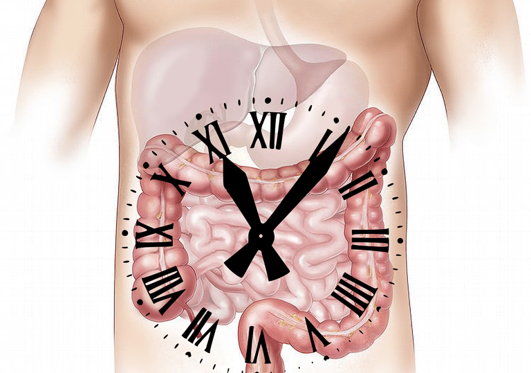 Image of digestive system with clock overlay symbolizing constipation.