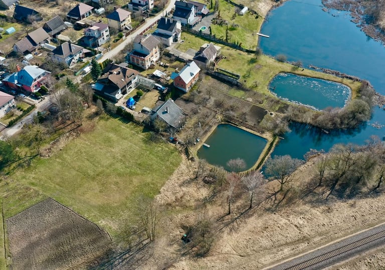 Nevronys iš paukščio skrydžio