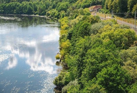 Vaišvydavos karjeras