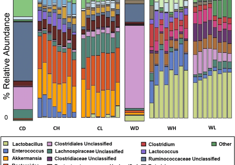 analisis microbioma bioinformatica mexico