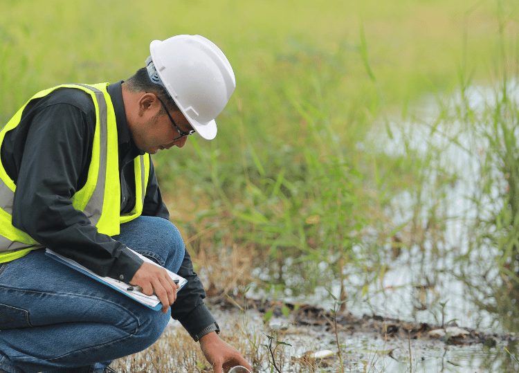 site assesment