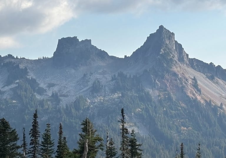 Rocky mountain peaks rise above a forested slope under a partly cloudy sky, offering inspiration for resilience building.