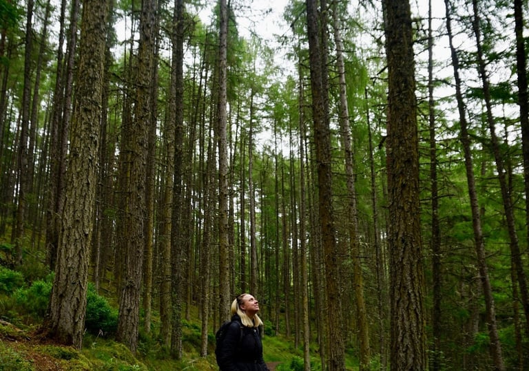 Coach Moll in a forest looking up at the trees