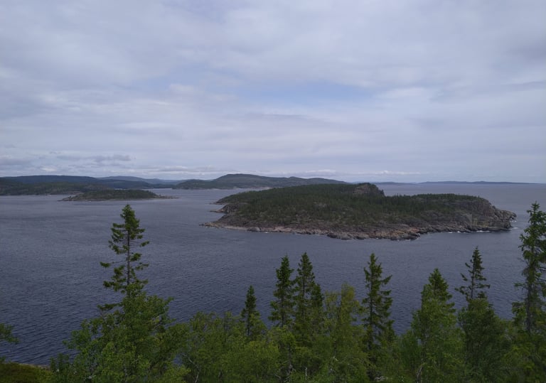 Högbonden