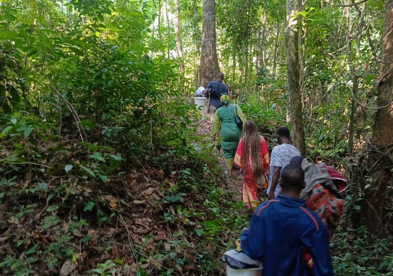 Randonnée et marche en forêt. Immersion pratique dans l'environnement naturel