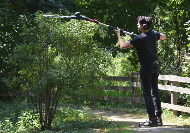 Taille de haies/d'arbustes à Soisy-sur-Seine et aux alentours.