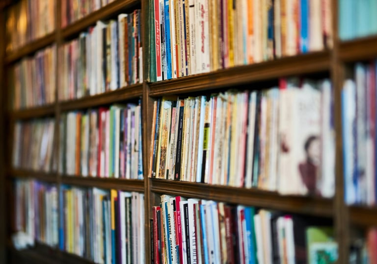 A vintage library bookshelf filled with colorful books and classic literature titles. Photo by Engin