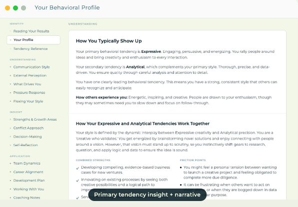 A digital behavioral profile dashboard showing expressive and analytical personality tendency insights.