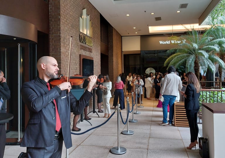ivan fritzen violinista shopping cidade jardim