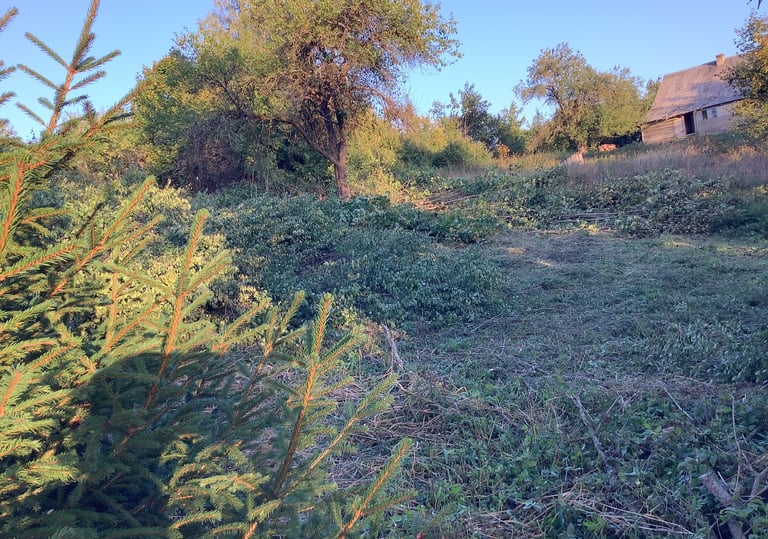 Tvarkomas apleistas sklypas, pjaunami krūmai